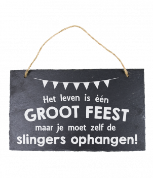 Leisteen - Leven één groot feest