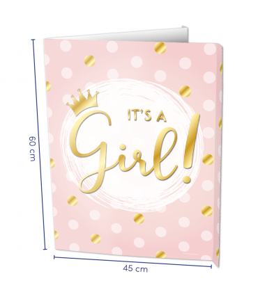 Window signs - It's a Girl!