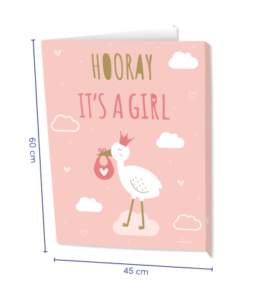 Window signs - Newborn baby girl