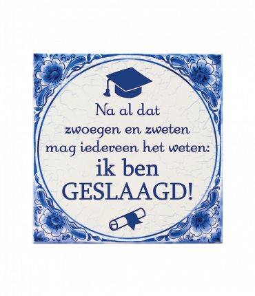 Tegels delfts blauw - Geslaagd school