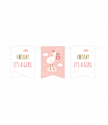 Party flag banner - New born baby girl