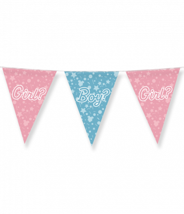 Party Flags foil - Gender reveal