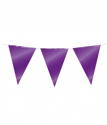 Party Flag Foil - Purple