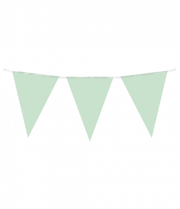 Party Flag PE - Pastel green