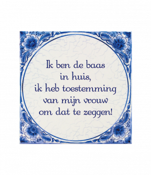 Tegels delfts blauw - Baas in huis