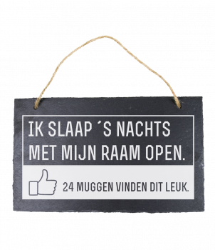 Leisteen - Ik slaap 's nachts