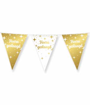 Fancy party flags foil - Geslaagd